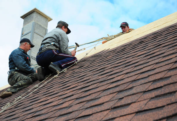 Best Roof Leak Repair  in Kings Beach, CA